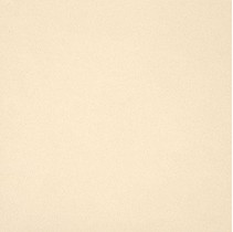 Casalgrande Padana Unicolore Technic Naturale Bianco A 9